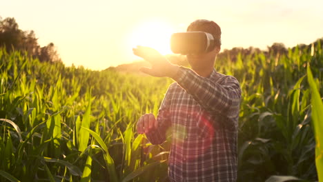 A-modern-farmer-in-a-VR-helmet-drives-a-corn-crop-standing-in-a-field-at-sunset-in-the-sun.-The-concept-of-smart-fields-of-use-of-neural-networks-in-agriculture.-The-use-of-artificial-intelligence-to-agriculture-and-harvest